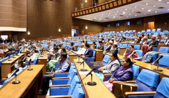 प्रतिनिधि सभा बैठक (प्रत्यक्ष प्रसारण)