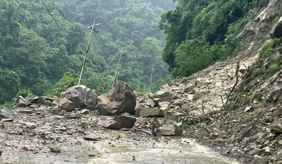 गुल्मी र पाल्पामा पहिरोले सडक अवरुद्ध