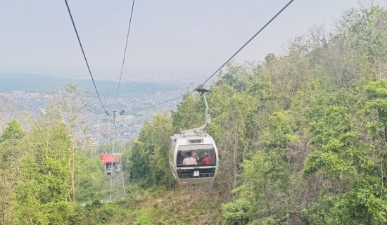 ट्याक्टरको ठक्करबाट साइकल यात्रुको मृत्यु
