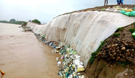 तटबन्धले रोक्यो बाढी