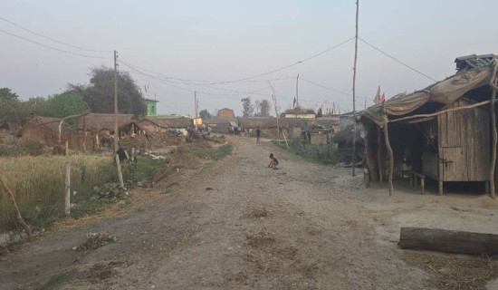 भिसा लागेपछि भगवानकाे मूर्ति दर्शन गरेका तिवारी बन्नुभयाे मूर्तिकार