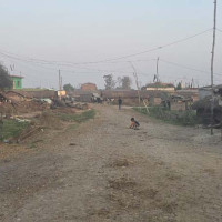 काउन्सिलको विशेष परीक्षामा ९१.८२ प्रतिशत चिकित्सक उत्तीर्ण