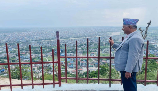 सहर देखिने गरी उद्यान निर्माण