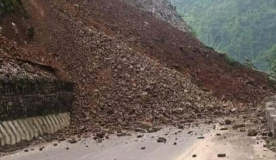 मुगुमकार्मारोङमा खुल्यो यार्सागुम्बा सङ्कलन
