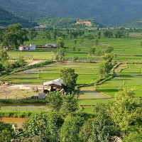 खेतमा पानी लगाउने क्रममा करेन्ट लागेर महिलाको मृत्यु