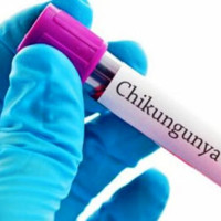 बैतडीमा पहिरोले अवरुद्ध जयपृथ्वी राजमार्ग पुन: सुचारु