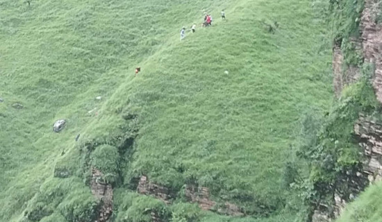पत्रकारदेखि व्यवसायीसम्म जनप्रतिनिधि बन्न इच्छुक