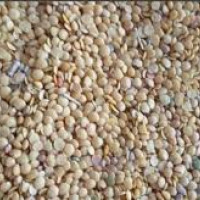 गेटा मेडिकल कलेजको नाममा अनावश्यक भ्रमः डा. राणा