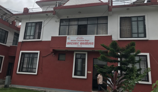 कैदीबन्दी छालाको रोगबाट प्रभावित