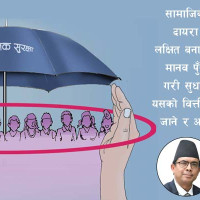 सानो खैरो गिद्धको छ सय किमी फन्को