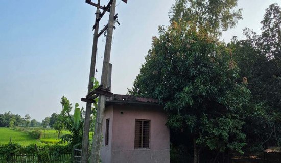 भोल्टेज नपुगेर हैरानी