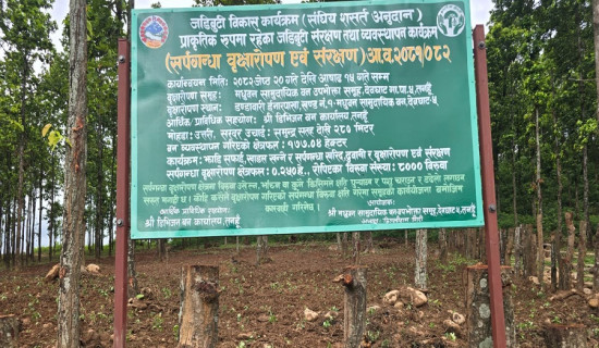 मधुवन सामुदायिक वनलाई गणेशमानसिंह पुरस्कार