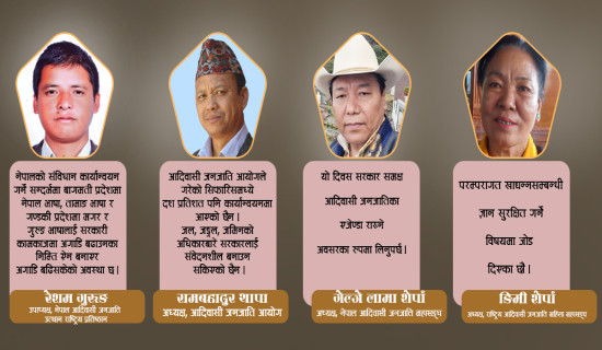 'आदिवासी दिवस सरकारलाई खबरदारी गर्ने अवसर हो'