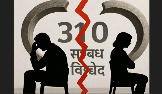 वर्षमा छुट्टिए तीन सय दस जोडी