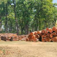 प्रेस युनियनद्वारा सय दिने सदस्यता अभियान बागलुङमा पनि सुरु