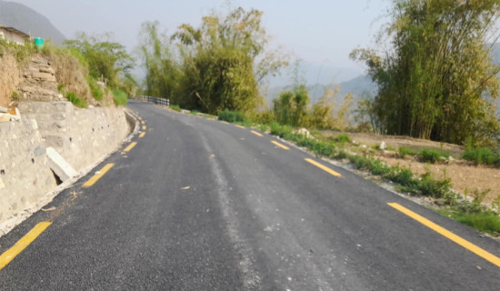 भोट माग्न खेतबारीमा उम्मेदवार