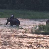 स्थानीय हाटबजार व्यवस्थित गर्नुपर्ने माग