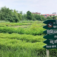 प्रचण्ड र ओलीबिच बालुवाटारमा भेटवार्ता