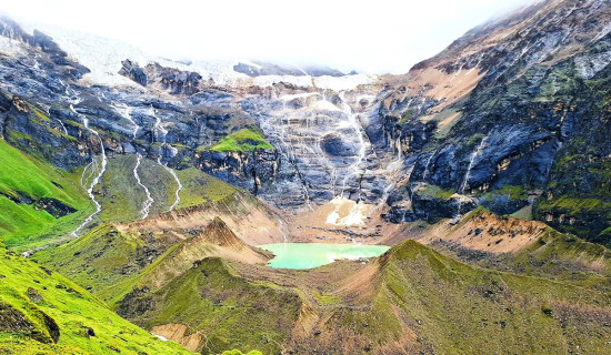 बर्खासँगै बढ्न थाले सर्पदंशका बिरामी