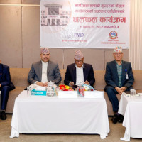 बौद्ध स्तूपा सरसफाइ