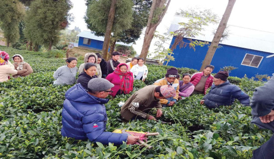 बसको ठक्करबाट मोटरसाइकल चालकको मृत्यु
