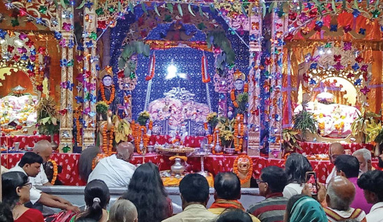 झुलाको रौनक हराउँदै