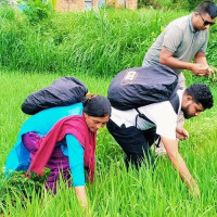 साढे सत्र अर्बको बिजुली निर्यात