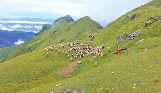 प्रकृतिको अनुपम उपहार