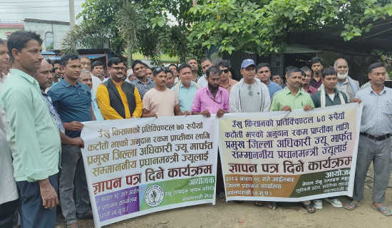‘सरकारले बुझेन उखु किसानको पीडा’