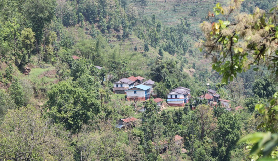 बढी भाडा लिने १९ वटा माइक्रो बसलाई कारबाही