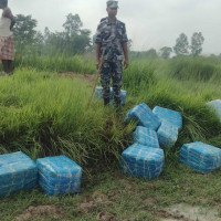 डा. आरजु देउवाद्वारा जनकपुरधाममा छठ पूजा
