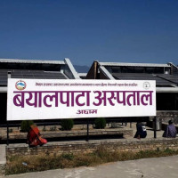 पाल्पाली ढाकाको आकर्षण बढ्दै