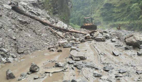 तानसेनको प्रमुखमा काँग्रेस र उपप्रमुखमा माओवादी उम्मेदवार विजयी