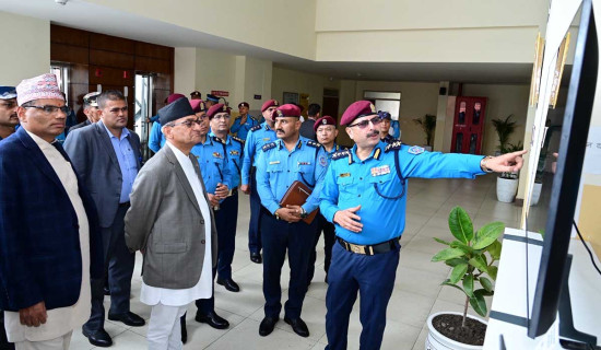 बञ्चरो प्रहार गरी भाइले गरे दाइको हत्या