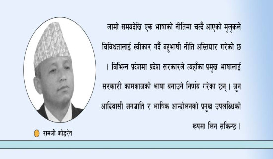 बहुजातीय पहिचान स्थापित
