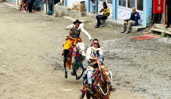 सरुवा निवेदन दिन आग्रह
