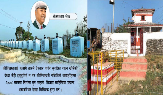 विमानस्थलमा चरा र स्यालको जोखिम
