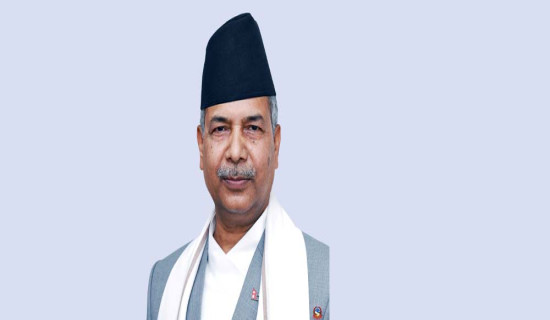 राजनीतिक दलको आयव्यय, बयासी दलले बुझाए विवरण