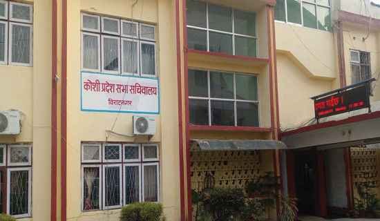 भाषा विधेयक प्रदेश सभामा
