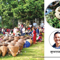 सङ्खुवासभा प्रदेशसभा (क) मा माओवादी केन्द्रका राजेन्द्र कार्की विजयी