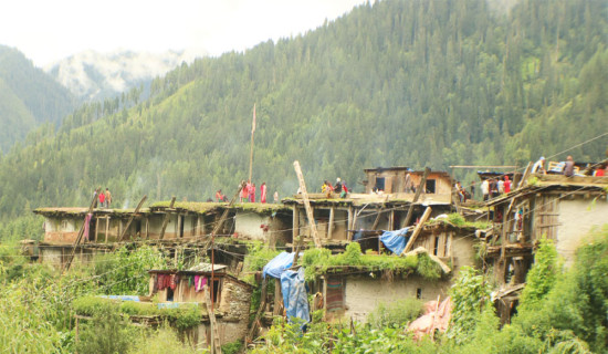 निःशुल्क बिमा कार्यक्रमबाट सेवाग्राही वञ्चित