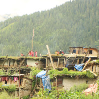 घोडा दौडमा लोप्साङ छोम्पेल बिष्ट च्याम्पियन