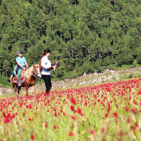 आफ्नै कीर्तिमान तोड्दै कामीरिता २६ औँ पटक सगरमाथा आरोहण