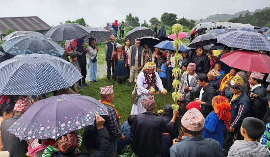 ताराखोलाका १३ ढुङ्गा उद्योगलाई सञ्चालन अनुमति