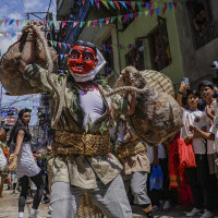 महिला फुटबल प्रशिक्षक वाइल्डको राजीनामा