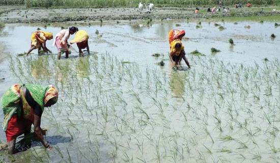 कामिरीताकाे नेतृत्वमा  सगरमाथाकाे पहिलो आरोहण सफल