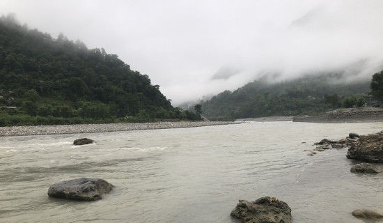 blog