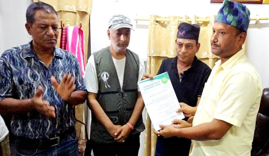 गुल्मीमा लिची उत्पादनमा कमी