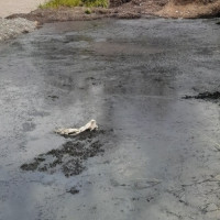 रेलमार्गको विस्तृत अध्ययन गरिने