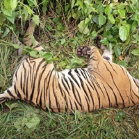 बजेट शून्य भएपछि उपचारमा समस्या